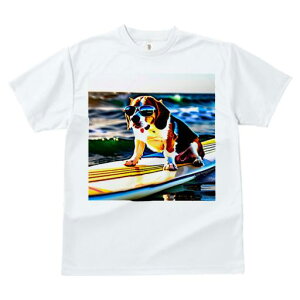 TVc fB[X t@  t  vg JWA 킢 lԗp tBbglX _X TOX r[O T[tB