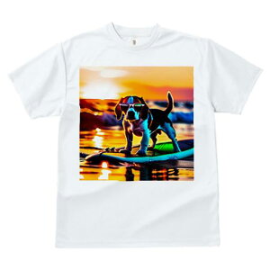 TVc fB[X t@  t  vg JWA 킢 lԗp tBbglX _X T[tB r[O C [Ă r[`