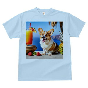 TVc Y LbY t@  t  vg JWA 킢 lԗp tBbglX _X JNe R[M[ pCibv  C