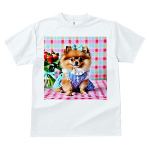 TVc fB[X t@  t  vg JWA 킢 lԗp tBbglX _X ԑ |jA  `FbN {