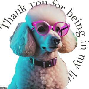 Kl v[h  NbVJo[ 45×45cm Aj}   NbV{̕t ` t@