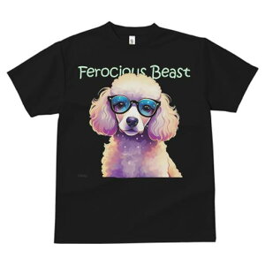 TVc fB[X t@  t  vg JWA 킢 lԗp tBbglX _X Kl v[h 