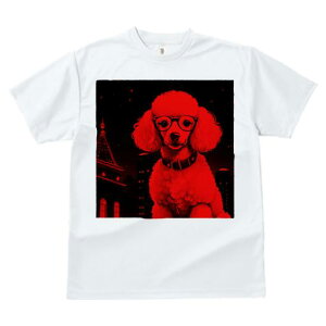 TVc fB[X t@  t  vg JWA 킢 lԗp tBbglX _X Kl v[h i 