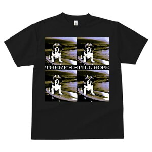 TVc fB[X t@  t  vg JWA 킢 lԗp tBbglX _X T[tB r[O