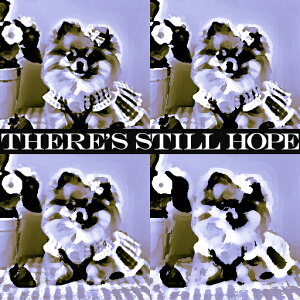  |jA A NbVJo[ 45×45cm Aj}   NbV{̕t ` t@