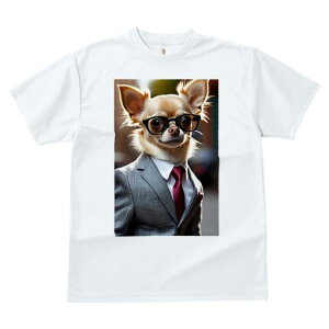 TVc fB[X t@  t  vg JWA 킢 lԗp h ̃fUC ʔ X[c ` lN^C Kl