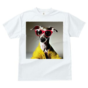 TVc fB[X t@  t  vg JWA 킢 lԗp h ̃fUC ʔ Kl C^AO[nEh Z[^[