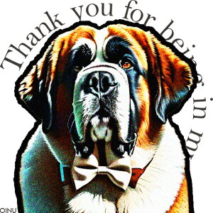 ���l�N�^�C �Z���g�o�[�i�[�h �N�b�V�����J�o�[ 45×45cm �A�j�}���� ������� ���� �N�b�V�����{�̕t�� �����` ���t�@��