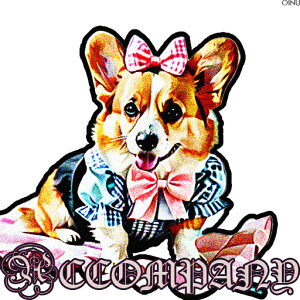 { R[M[  NbVJo[ 45×45cm Aj}   NbV{̕t ` t@