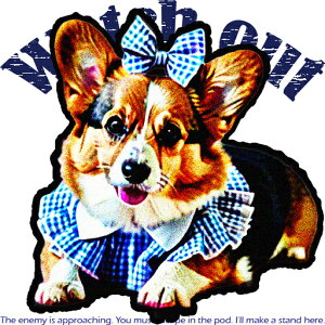 { R[M[  NbVJo[ 45×45cm Aj}   NbV{̕t ` t@