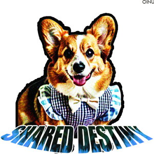  R[M[ lN^C NbVJo[ 45×45cm Aj}   NbV{̕t ` t@