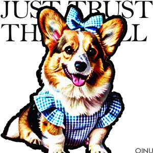 MK`FbN R[M[ { NbVJo[ 45×45cm Aj}   NbV{̕t ` t@