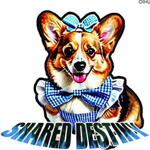 { R[M[  NbVJo[ 45×45cm Aj}   NbV{̕t ` t@