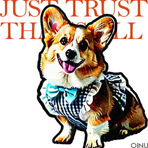  R[M[ { NbVJo[ 45×45cm Aj}   NbV{̕t ` t@