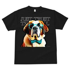 TVc fB[X t@  t  vg JWA 킢 lԗp h ̃fUC ʔ Kl Zgo[i[h lN^C