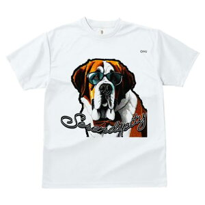 TVc fB[X t@  t  vg JWA 킢 lԗp h ̃fUC ʔ Kl Zgo[i[h lN^C