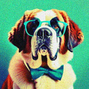 Kl Zgo[i[h lN^C NbVJo[ 45×45cm Aj}   NbV{̕t ` t@