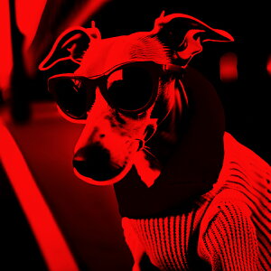 TOX C^AO[nEh Z[^[ NbVJo[ 45×45cm Aj}   NbV{̕t ` t@