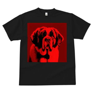 TVc Y LbY t@  t  vg JWA 킢 lԗp h ̃fUC ʔ lN^C Zgo[i[h