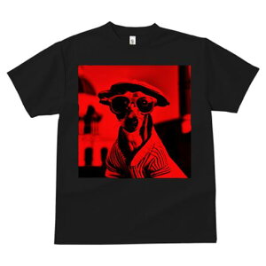 TVc Y LbY t@  t  vg JWA 킢 lԗp h ̃fUC ʔ Xq C^AO[nEh Kl 