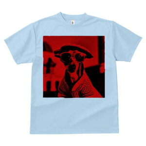 TVc Y LbY t@  t  vg JWA 킢 lԗp h ̃fUC ʔ Xq C^AO[nEh Kl 