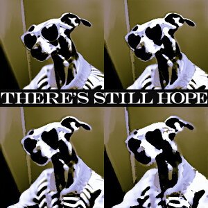 サングラス グレートデーン 骨 クッションカバー 45×45cm アニマル柄 おしゃれ 可愛い クッション本体付き 正方形 犬ファン