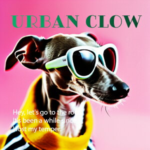 �T���O���X �C�^���A���O���[�n�E���h �s���N �N�b�V�����J�o�[ 45×45cm �A�j�}���� ������� ���� �N�b�V�����{�̕t�� �����` ���t�@��