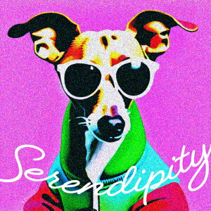 TOX C^AO[nEh p[J[ NbVJo[ 45×45cm Aj}   NbV{̕t ` t@