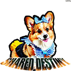  R[M[ { NbVJo[ 45×45cm Aj}   NbV{̕t ` t@