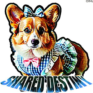 { R[M[  NbVJo[ 45×45cm Aj}   NbV{̕t ` t@