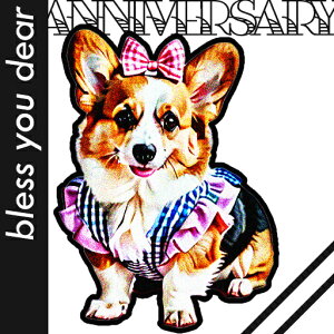 { R[M[  NbVJo[ 45×45cm Aj}   NbV{̕t ` t@