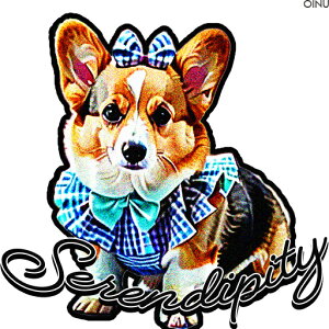 { R[M[  NbVJo[ 45×45cm Aj}   NbV{̕t ` t@