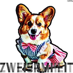  R[M[ lN^C NbVJo[ 45×45cm Aj}   NbV{̕t ` t@