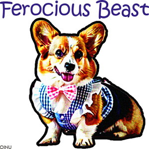 lN^C R[M[  NbVJo[ 45×45cm Aj}   NbV{̕t ` t@