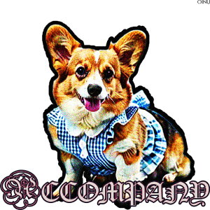  R[M[ MK`FbN NbVJo[ 45×45cm Aj}   NbV{̕t ` t@