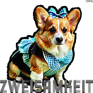 MK`FbN R[M[ { NbVJo[ 45×45cm Aj}   NbV{̕t ` t@