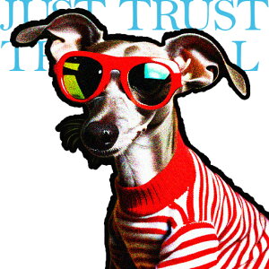 TOX C^AO[nEh XgCv Z[^[ NbVJo[ 45×45cm Aj}   NbV{̕t ` t@