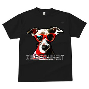 C^AO[nEh TVc Y LbY t@  t  vg JWA 킢 lԗp h ̃fUC ʔ Kl C^AO[nEh 