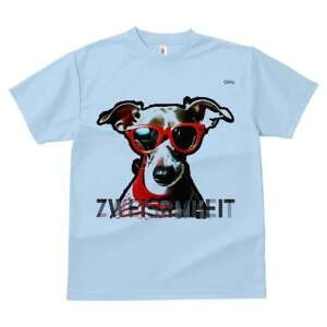 C^AO[nEh TVc Y LbY t@  t  vg JWA 킢 lԗp h ̃fUC ʔ Kl C^AO[nEh 