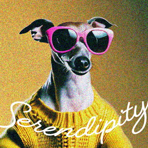 TOX C^AO[nEh Z[^[ NbVJo[ 45×45cm Aj}   NbV{̕t ` t@