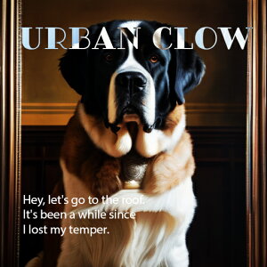 ё Zgo[i[h z NbVJo[ 45×45cm Aj}   NbV{̕t ` t@