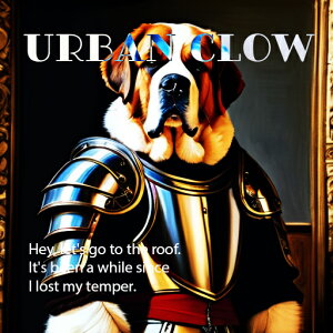 Z Zgo[i[h ё G NbVJo[ 45×45cm Aj}   NbV{̕t ` t@