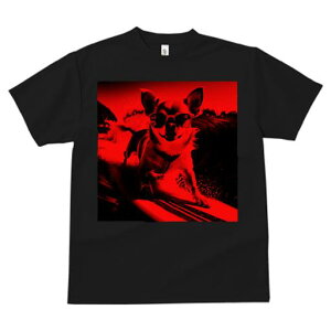 ` TVc fB[X t@  t  vg JWA 킢 lԗp h ̃fUC ʔ TOX ` T[tB