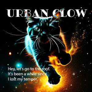 A[o O[ lI F L NbVJo[ 45×45cm Aj}   NbV{̕t ` t@