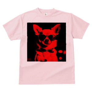 ` TVc Y LbY t@  t  vg JWA 킢 lԗp h ̃fUC ʔ TOX ` lN^C