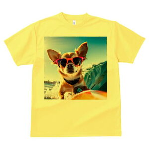 ` TVc Y LbY t@  t  vg JWA 킢 lԗp h ̃fUC ʔ TOX ` T[tB C g