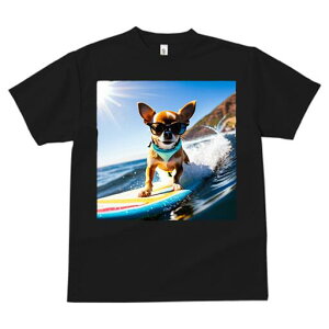 ` TVc fB[X t@  t  vg JWA 킢 lԗp h ̃fUC ʔ T[tB ` C  z