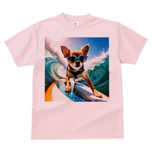 ` TVc Y LbY t@  t  vg JWA 킢 lԗp h ̃fUC ʔ TOX ` T[tB g C