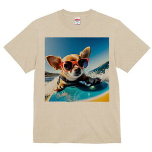 ` TVc Y LbY t@  t  vg JWA 킢 lԗp h ̃fUC ʔ TOX ` T[tB C