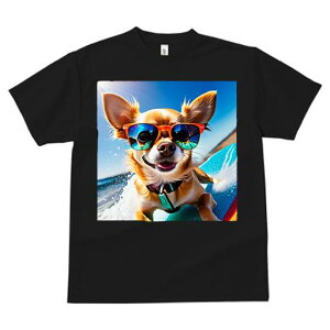 ` TVc Y LbY t@  t  vg JWA 킢 lԗp h ̃fUC ʔ TOX ` T[tB C 